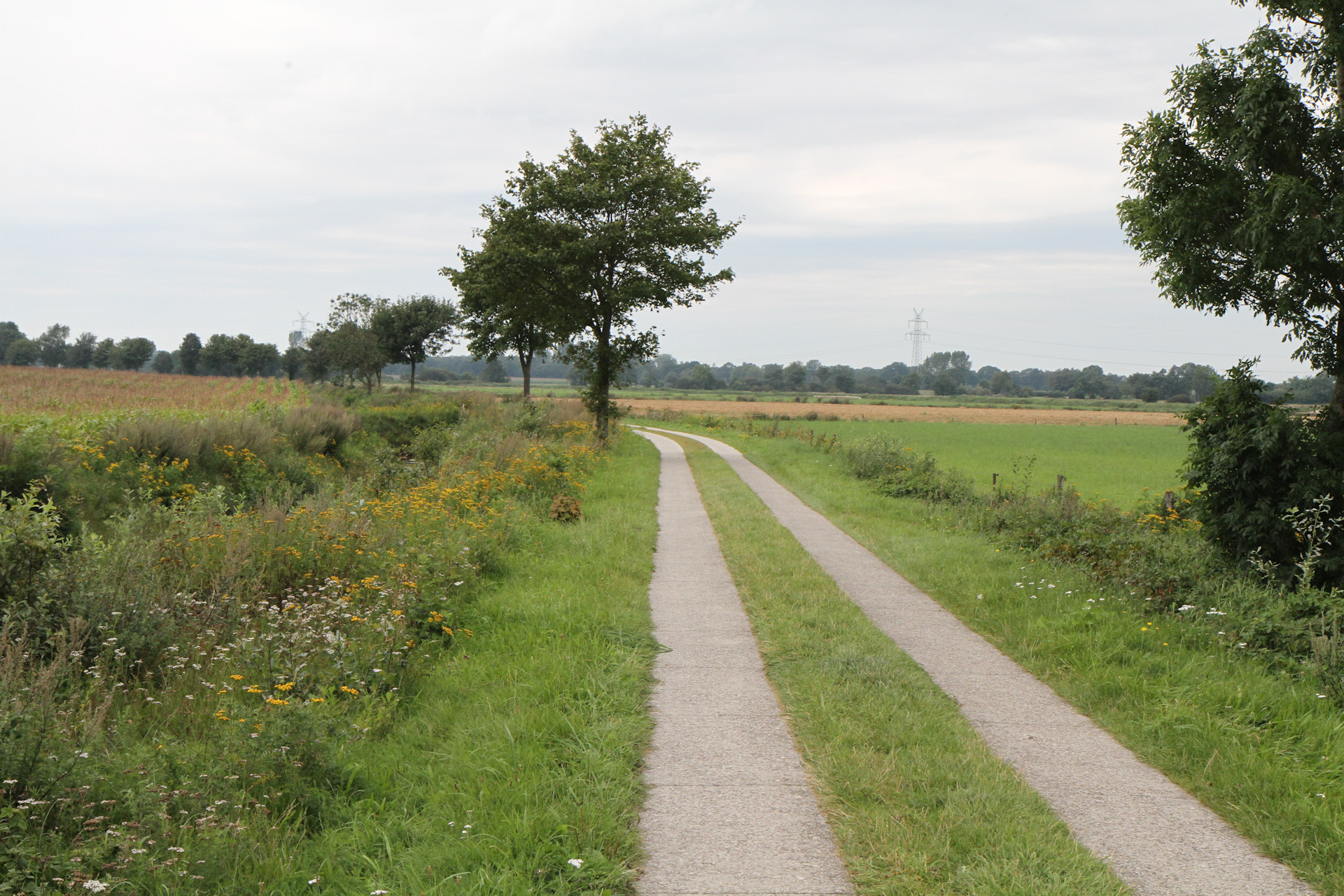 Radtour-Friesland_2011_08_21_0392.jpg