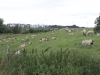 Radtour-Friesland_2011_08_19_0238.jpg
