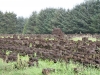 Radtour-Friesland_2011_08_21_0413.jpg