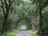 Radtour-Friesland_2011_08_23_0492.jpg