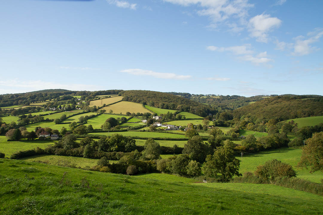 ashburton_terrace_walk_2012_10_01_0003