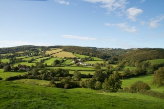 ashburton_terrace_walk_2012_10_01_0003