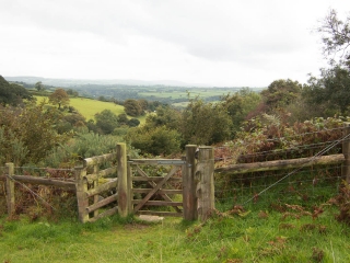 dartmoor_peter_tavey_2012_10_03_014