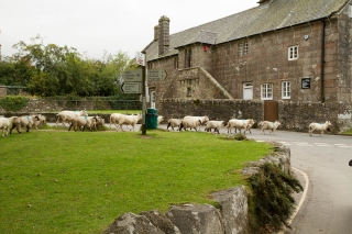 widecombe_2012_09_30_0012