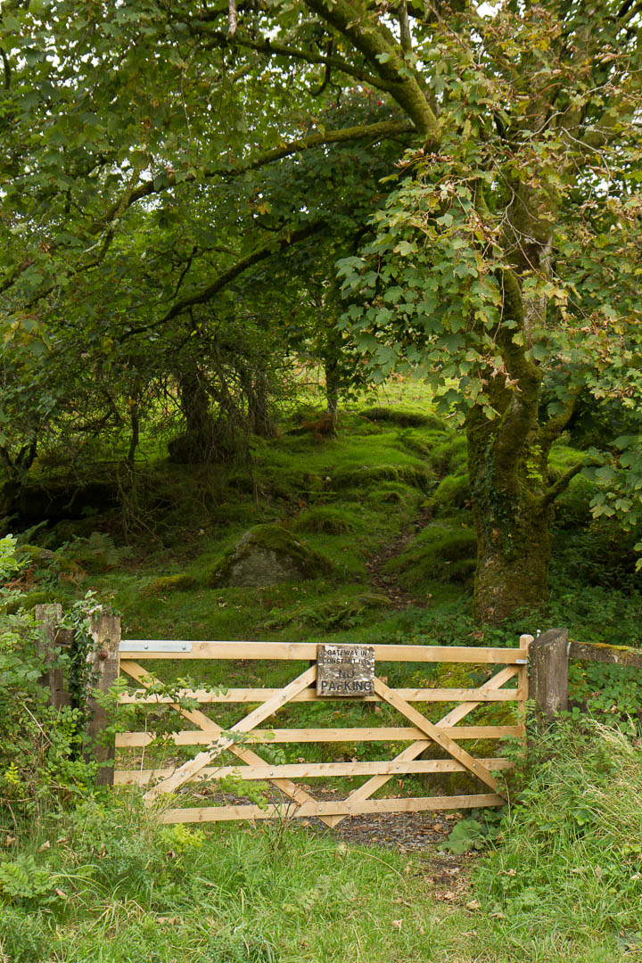 Dartmeet_2012_09_30_0018.jpg