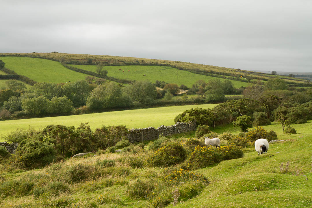 dartmoor_2012_09_30_0038