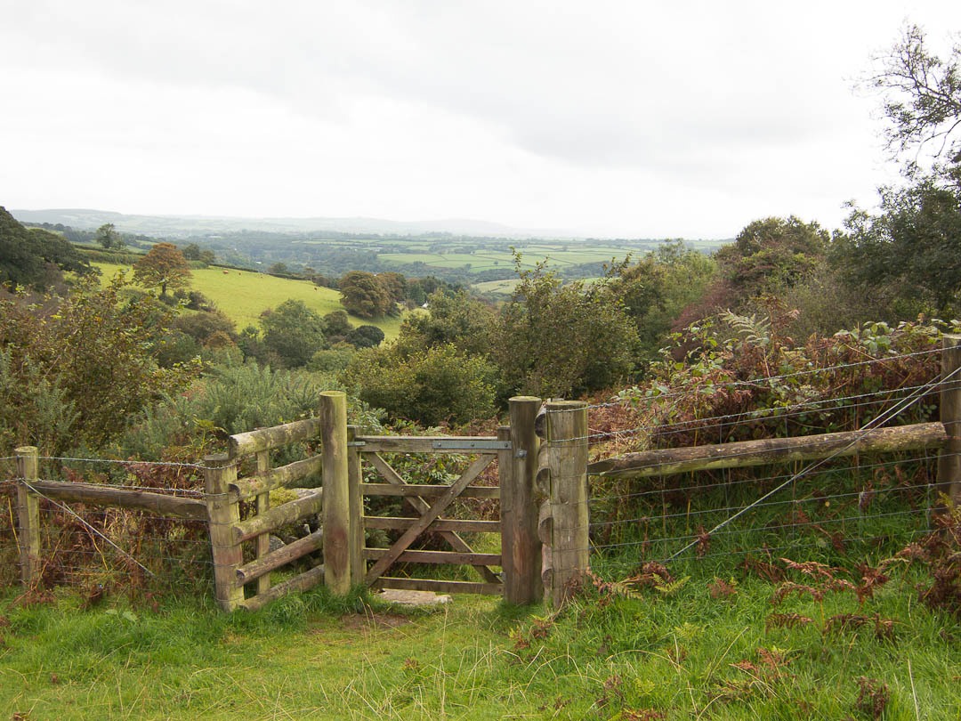 dartmoor_peter_tavey_2012_10_03_014