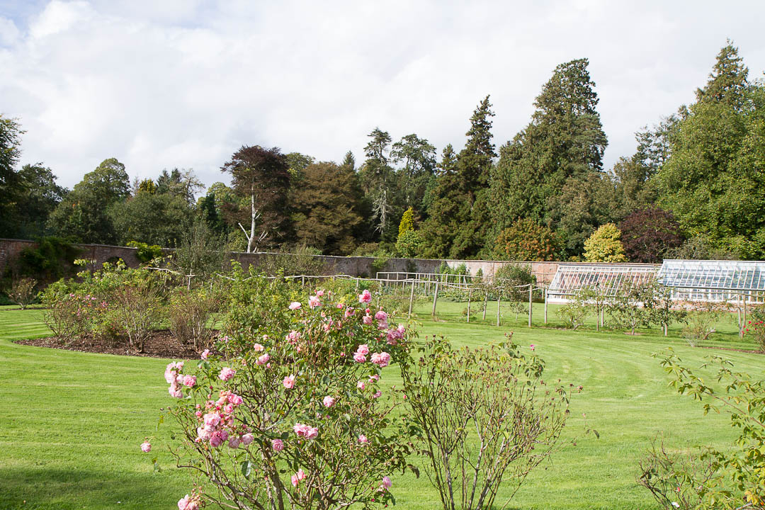 escot_gardens_2012_10_04_018