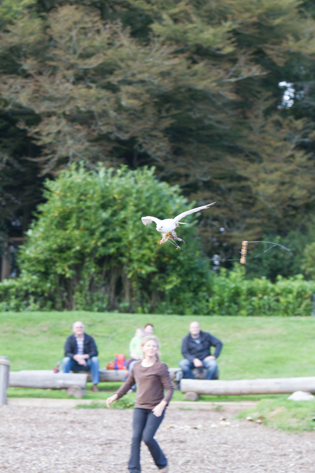 escot_gardens_2012_10_04_224
