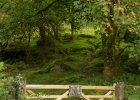 dartmeet_2012_09_30_0018