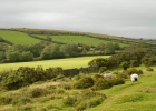 dartmoor_2012_09_30_0038