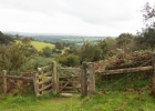 dartmoor_peter_tavey_2012_10_03_014