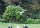 escot_gardens_2012_10_04_224