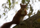 escot_gardens_2012_10_04_298