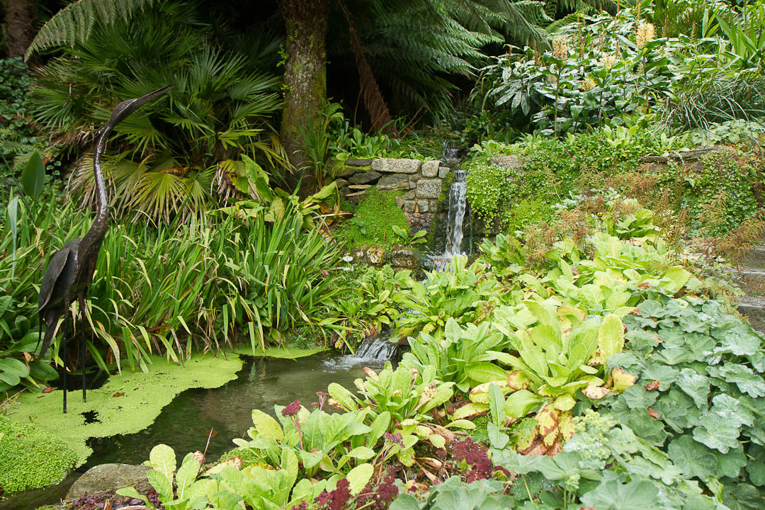 Trebah Garden