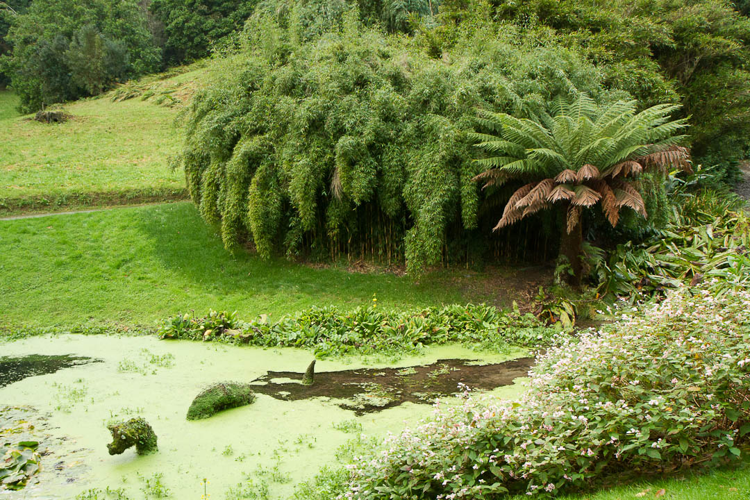 Trebah Garden