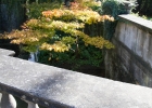 oxford_2012_10_18_0029
