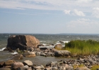 _MG_7663.jpg