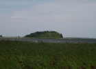_MG_7682.jpg