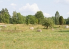 _MG_7707.jpg