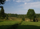_MG_7709.jpg