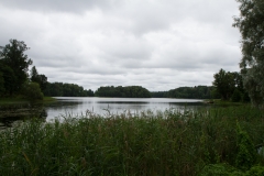 _MG_7977.jpg