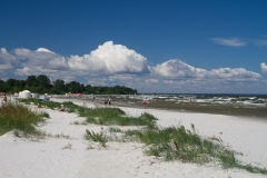 _MG_8514.jpg