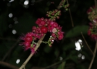 _IW_6376