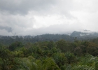 IMG_6150.jpg
