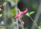 _IW_5434-Edit