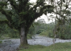 _IW_5487-Edit