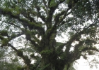 _IW_5492-Edit