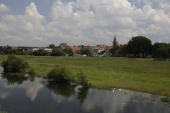 _WR_8539