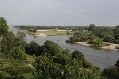 _WR_8587