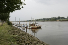 _WR_9005-Edit