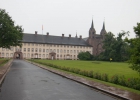 IMG_6247.jpg