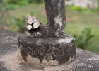 Wat Chang Man