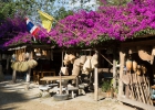 Auf dem Weg nach Chiang-Mai Fang