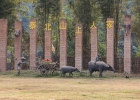 Huai Khum Resort