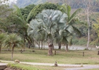 Huai Khum Resort