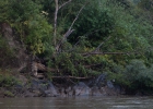 Abenteuerfahrt mit dem Hausboot auf dem Kok River