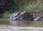 Abenteuerfahrt mit dem Hausboot auf dem Kok River