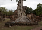 Sukothai