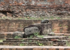 Ayutthaya