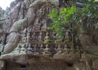 Ta Prohm