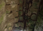 Ta Prohm