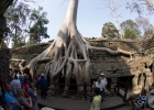 Ta Prohm