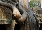 Ta Prohm
