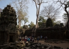 Ta Prohm