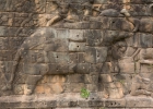 Elephant Tarrce